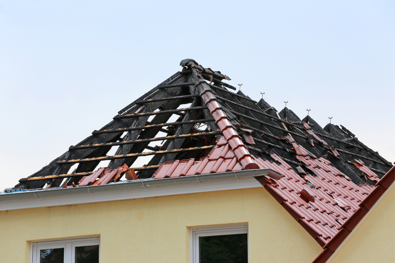 water-mold-and-fire-restoration